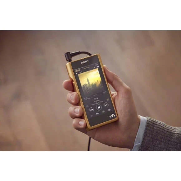 Sony wm1z (wm1z walkman) купить плеер в Киеве и Днепре - Soundmag
