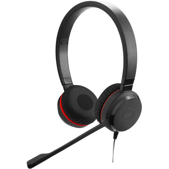 Наушники Jabra Evolve 20 MS Stereo USB-C кожа (4999-823-189L)