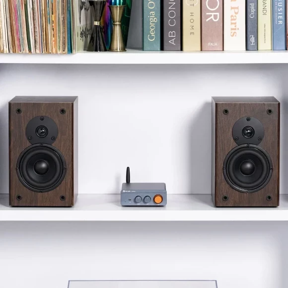 Усилитель Fosi Audio BT20A PRO-LG-48V - Soundmag