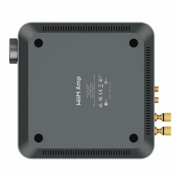 Сетевой усилитель Wiim AMP PRO - Soundmag