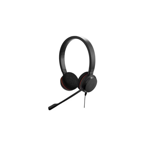 Гарнитура JABRA Evolve 20 USB C/A MS Stereo Black (4999-823-169)