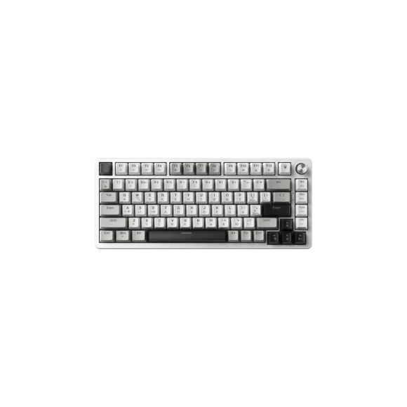 Игровая клавиатура GamePro Genesis Silverlight USB-C (MK126)