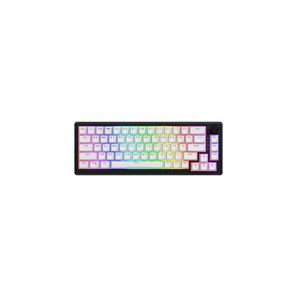 Игровая клавиатура HATOR Skyfall 65 wireless (HTK3160UA) black-white