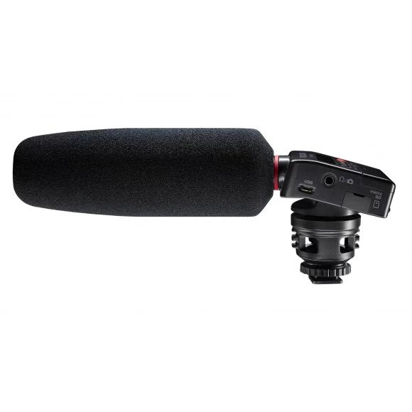 Диктофон Tascam DR-10SG
