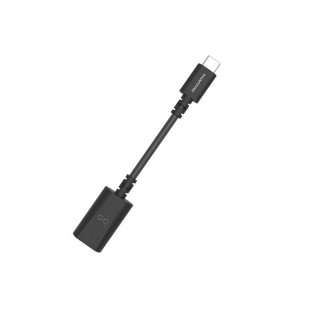 AudioQuest DragonTail with USB C