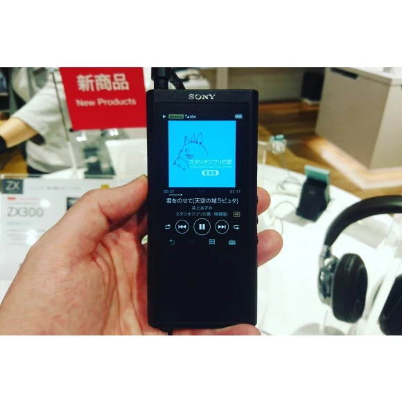 Плеер Sony NW-ZX300 купить в # Soundmag # Киев, Днепр, Украина