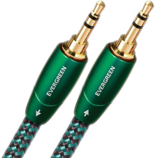 AUDIOQUEST 1.0m EVERGREEN 3.5m>3.5m