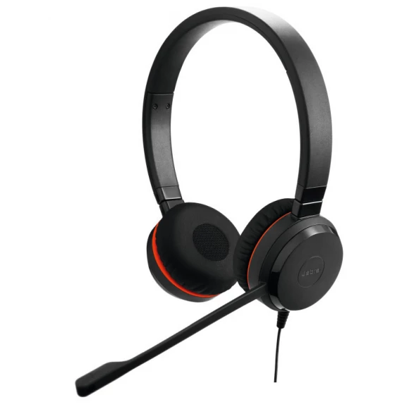 Наушники Jabra Evolve 20 UC Stereo USB-C кожа (4999-829-289L)